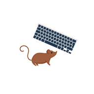 Мышка и клавиатура